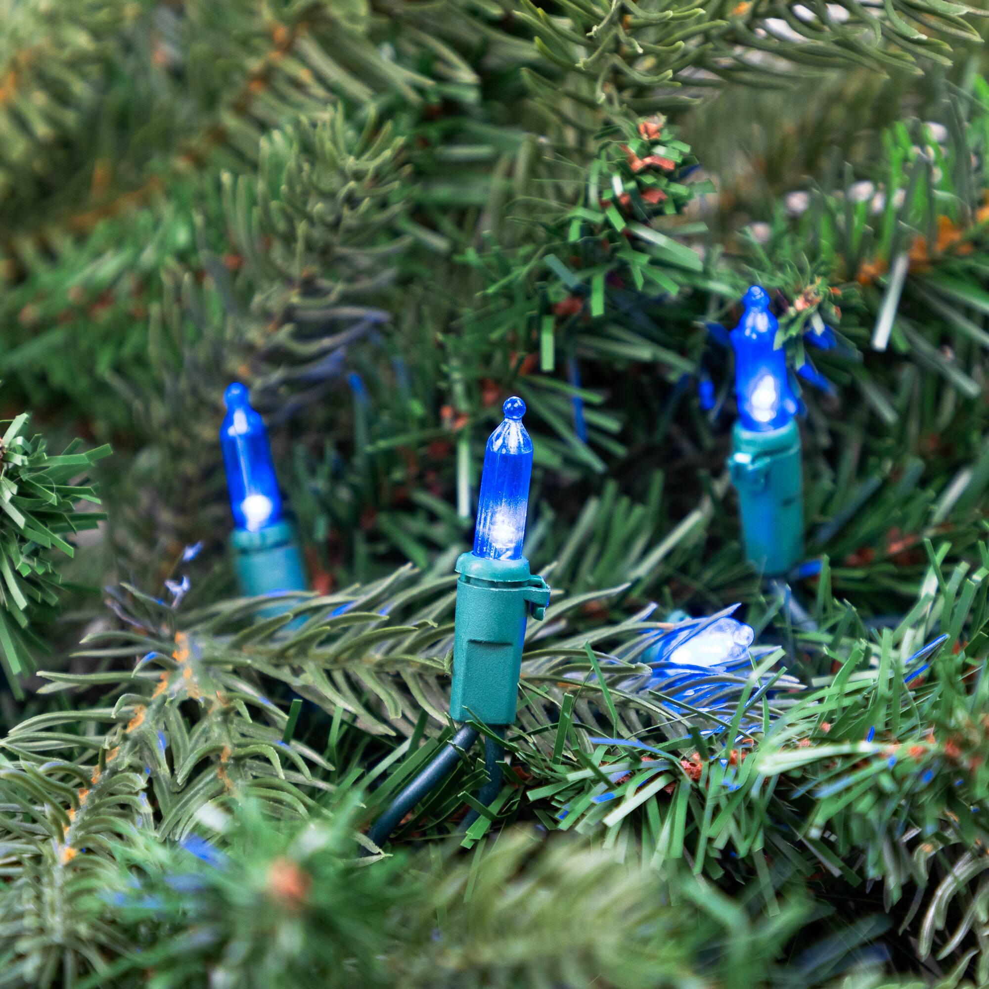 100ct. LED Mini Christmas Lights With Green Wire